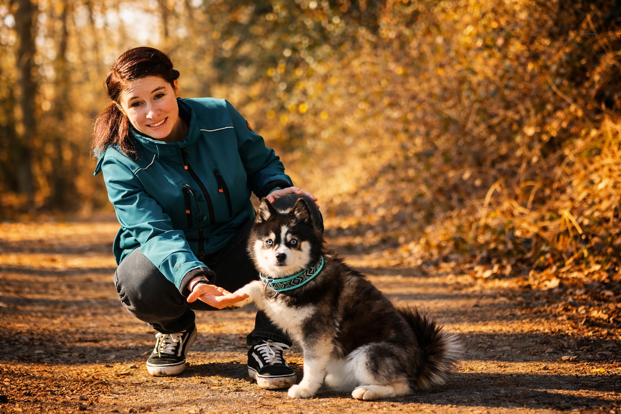 Gründung einer eigenen Hundeschule